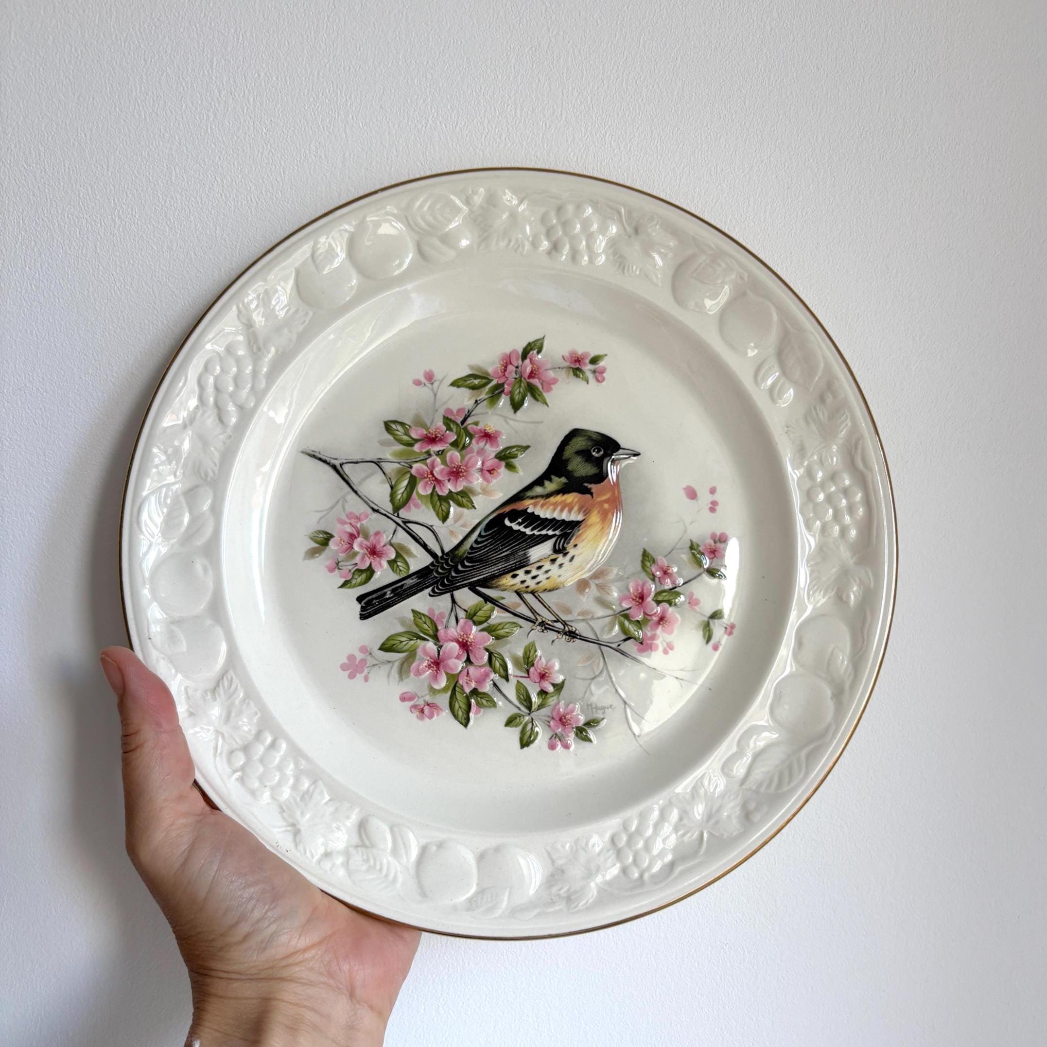 Royal Worcester Palissy “Brambling” Bird Plate | Vintage Collectible English Pottery with Gold Rim