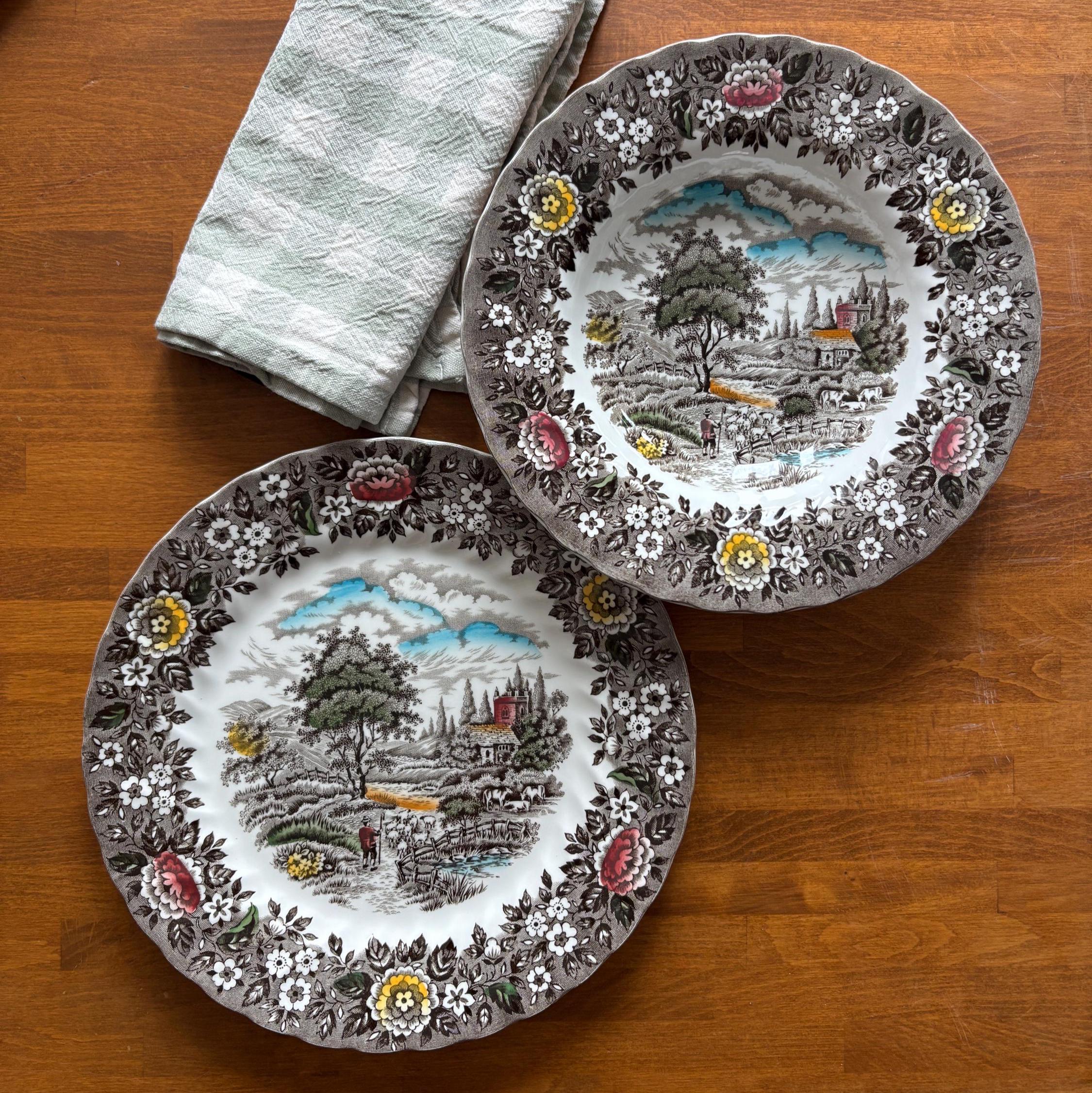 Vintage Alfred Meakin Homeland Dinner Set 4 Plates Bowls Cottage Farmhouse England