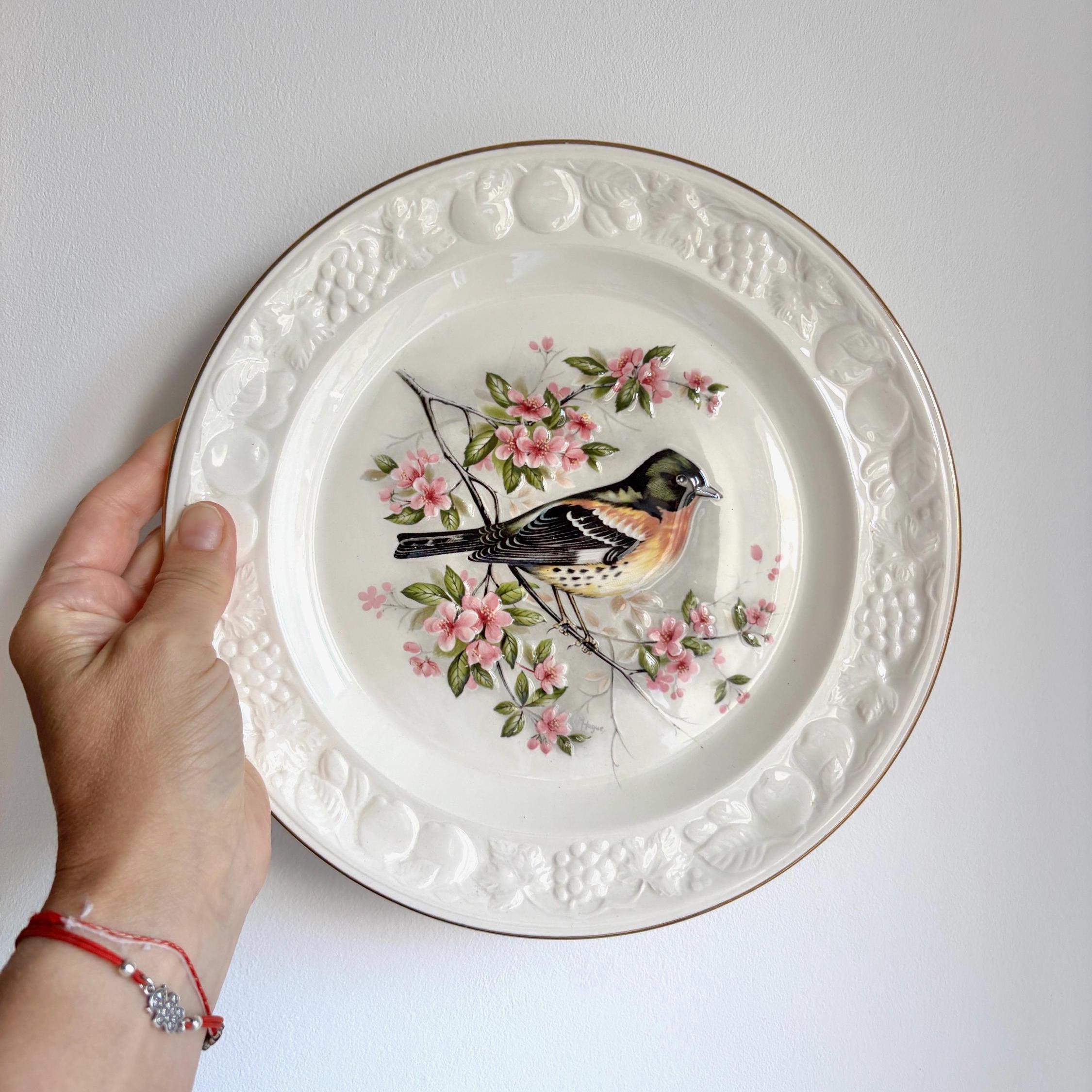 Royal Worcester Palissy “Brambling” Bird Plate | Vintage Collectible English Pottery with Gold Rim