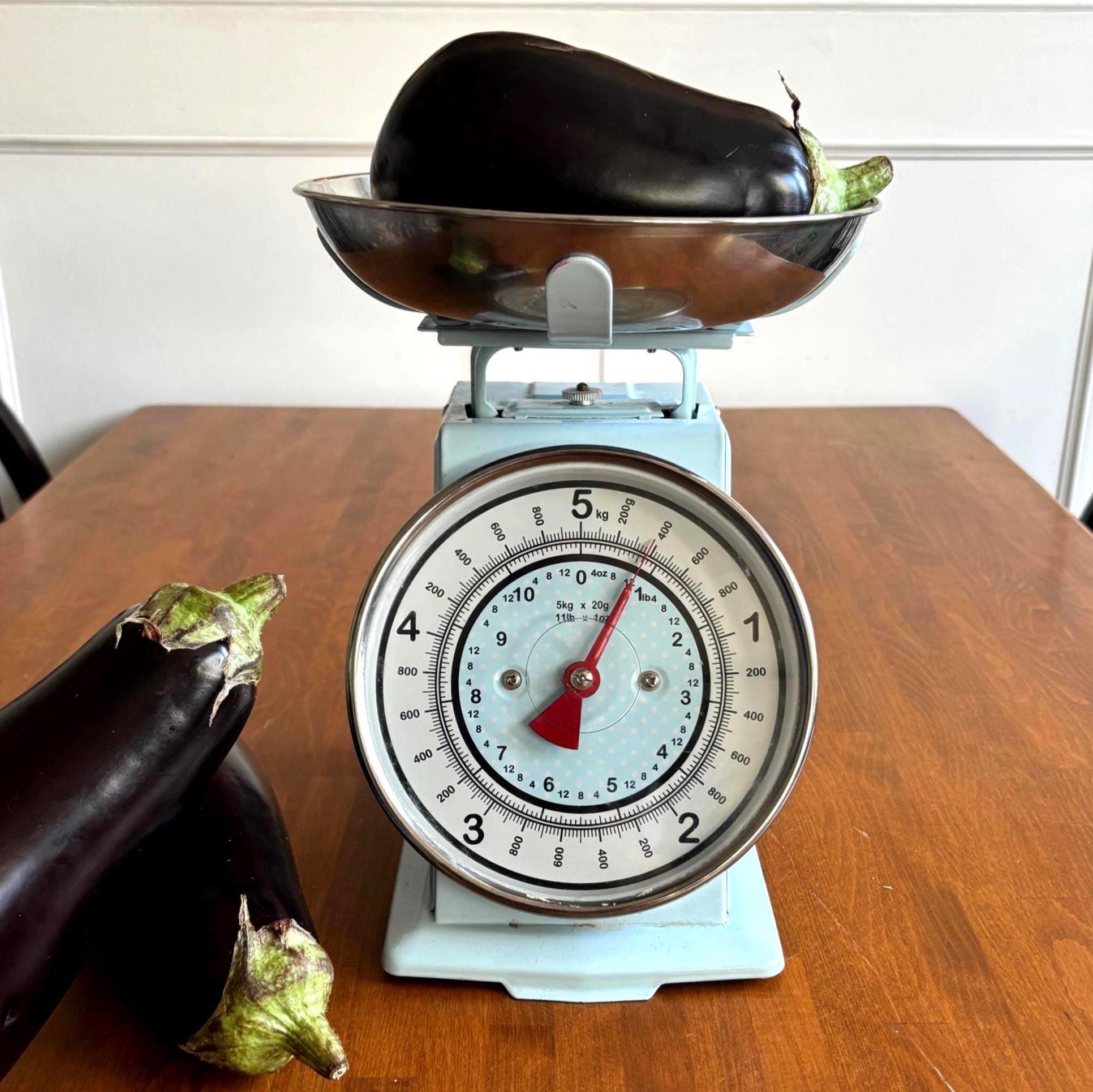 Vintage Kitchen Scales 5kg Blue Metal Scale with Stainless Steel Bowl