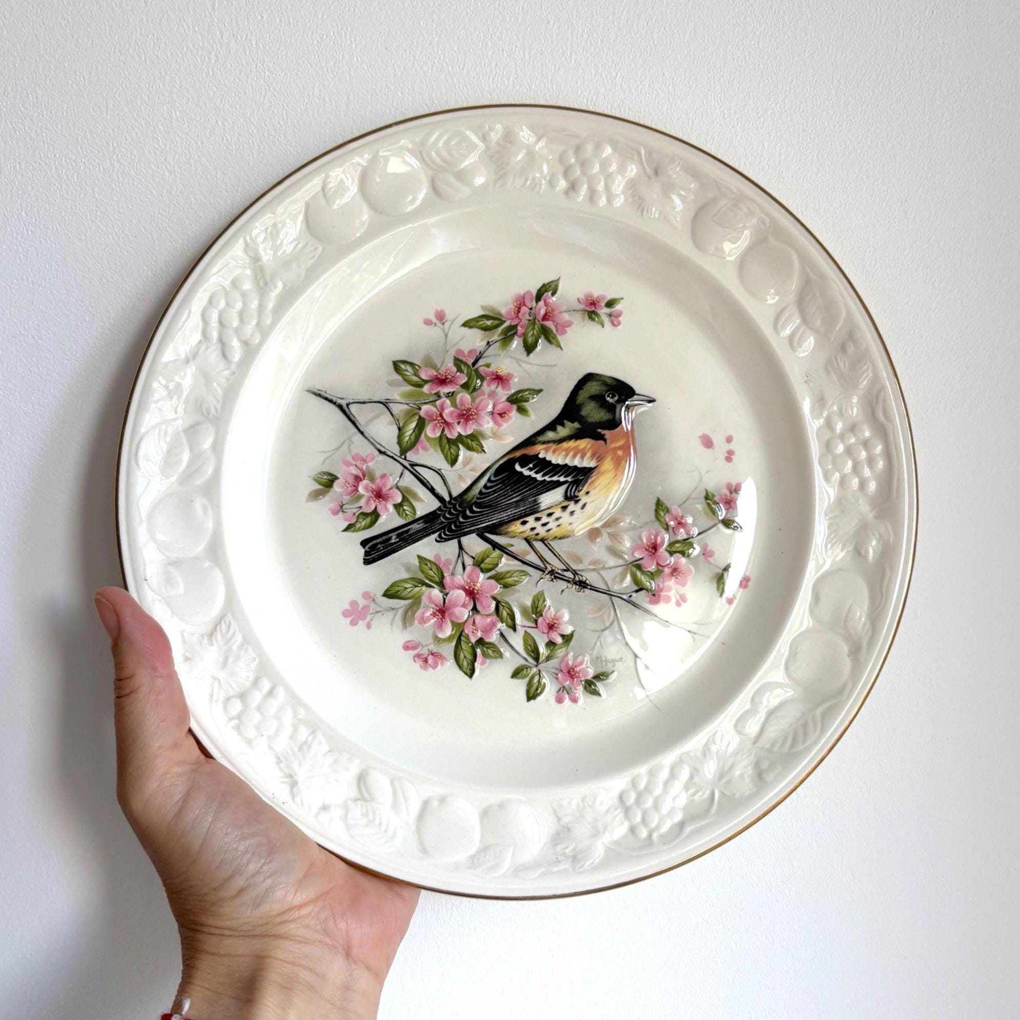 Royal Worcester Palissy “Brambling” Bird Plate | Vintage Collectible English Pottery with Gold Rim