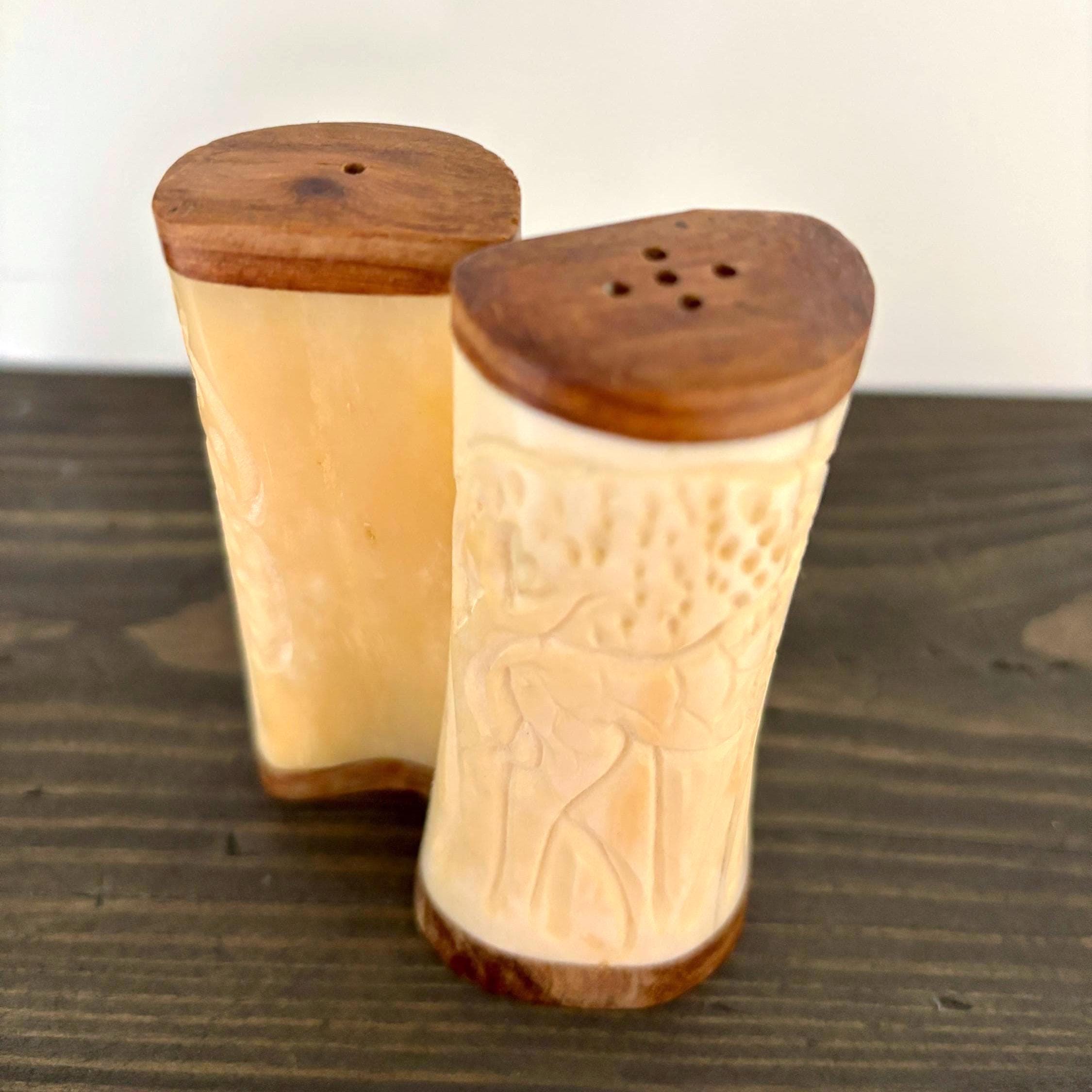 Hand Carved Bone Salt and Pepper Shakers: Giraffe Motif, African Boho Decor
