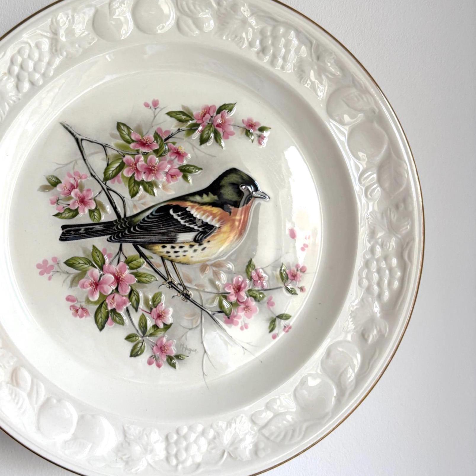 Royal Worcester Palissy “Brambling” Bird Plate | Vintage Collectible English Pottery with Gold Rim