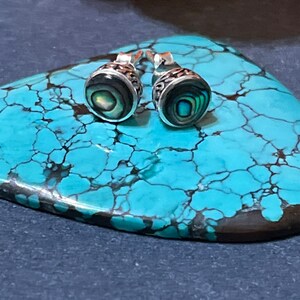 Abalone Shell Stud Earrings