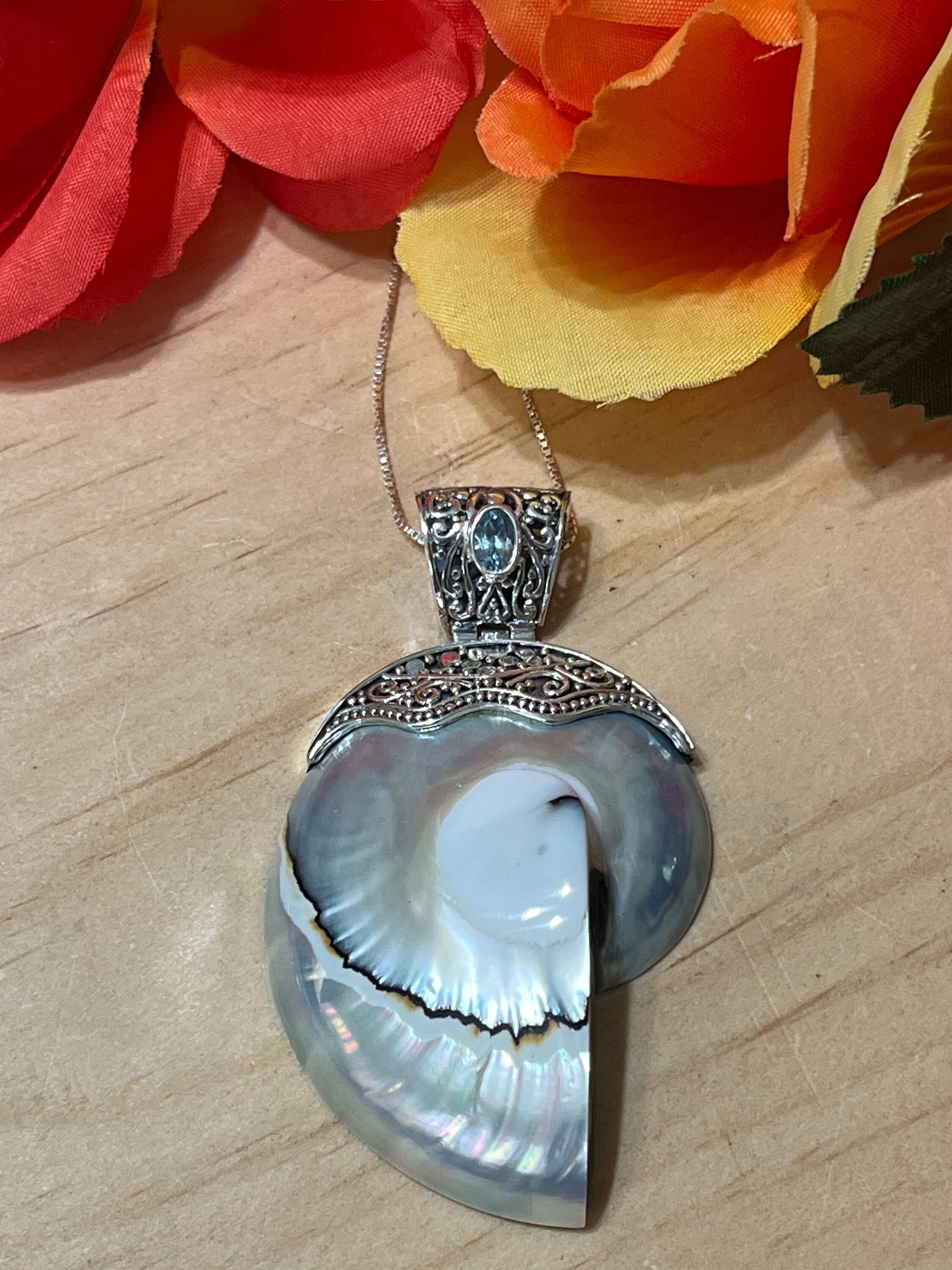 Nautilus shop shell necklace