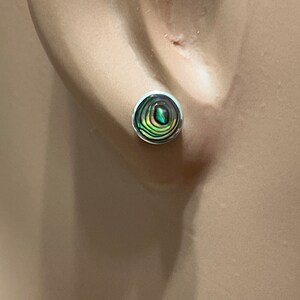 Abalone Shell Stud Earrings main image 0