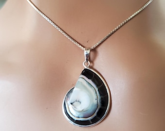 Nautilus Shell Pendant Necklace/Sterling Silver/ Beautiful Shell Necklace/Nautilus Shell Necklace/Sea Shell Pendant/Shell Pendant /A343-AR