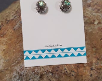 Abalone Shell Stud Earrings / Abalone Shell Earrings / Shell Stud Earrings / Post Earrings / Shell Earrings / Abalone Earrings /A331-AR