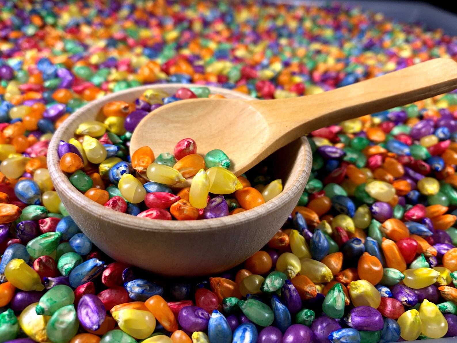 Sensory Table Filler Sensory Bin Filler Beans Chickpeas Etsy