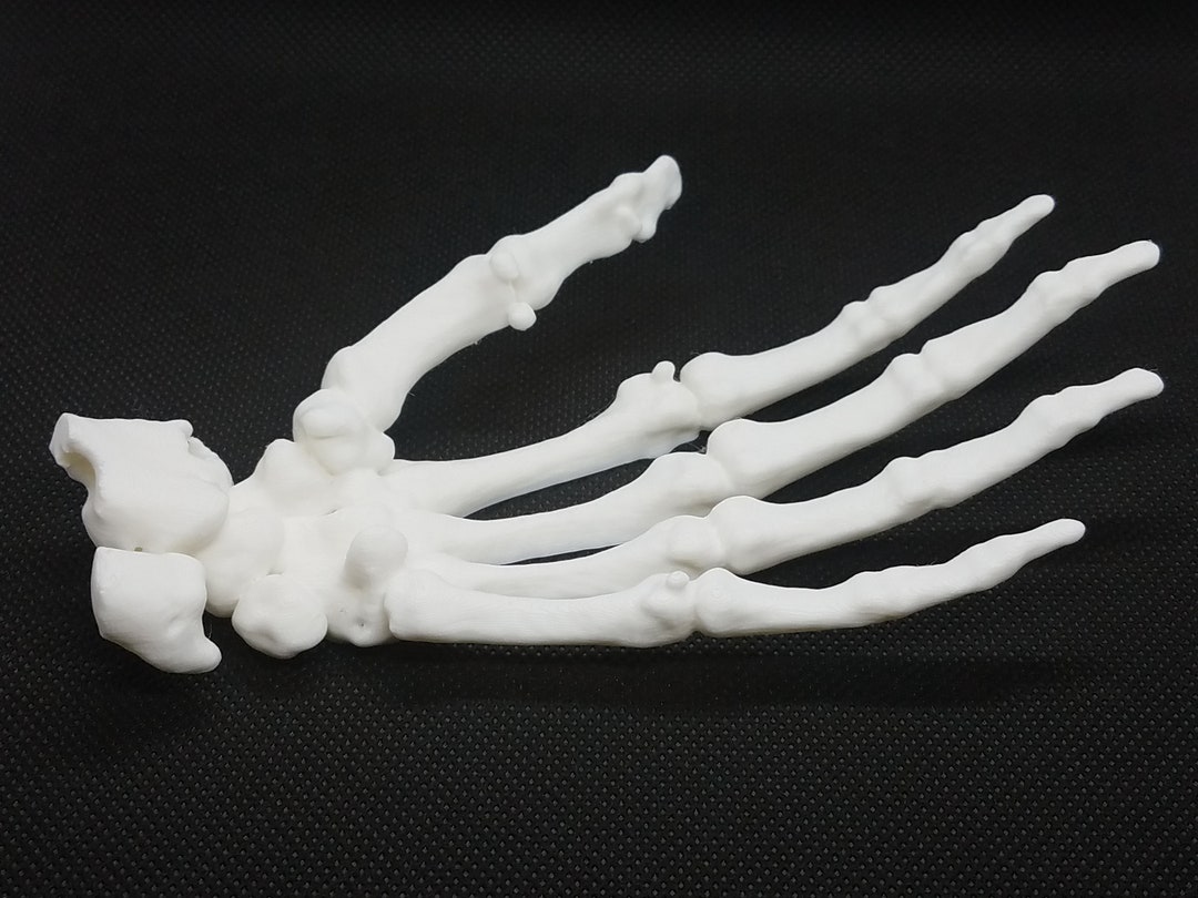 Skeleton Hand Soap Dish Etsy
