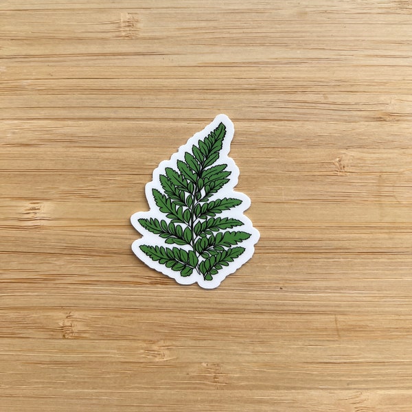 Hawaiian Plant Sticker | Palapalai | Fern | Native Hawaiian | Vinyl | Waterproof | Green | Plant Sticker