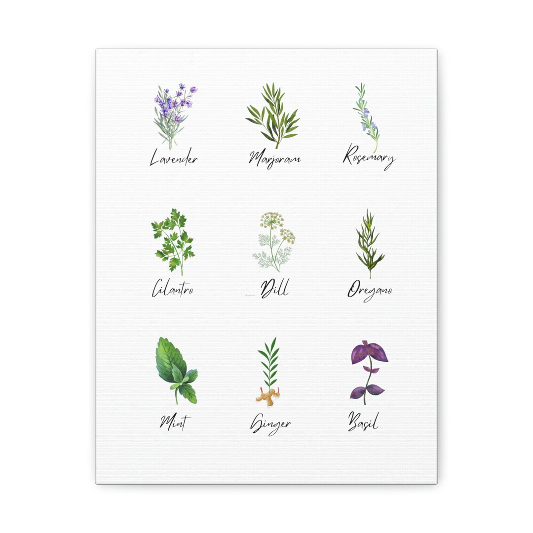 Herb Wall Art Kitchen Decor Herb Wall Hanging Farmhouse Etsy Canada