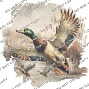 Vintage Duck PNG | Retro Mallard Art for Fall Decor | Duck Hunting Clipart | Unique Vintage Duck Images
