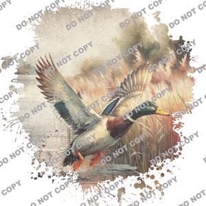 Vintage Duck PNG | Retro Mallard Art for Fall Decor | Duck Hunting Clipart | Unique Vintage Duck Images