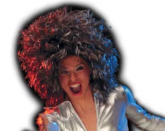 Authentieke Tina Turner-pruik: iconische look van 'What's Love Got to Do with It'