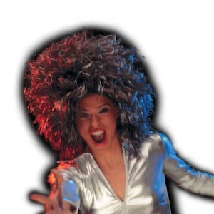 Authentic Tina Turner Wig - Iconic Look from &#39;What&#39;s Love Got to Do with It