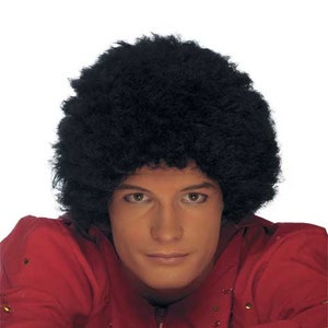 Small Afro Wig Ike Turner