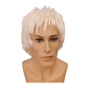 May include: A white wig with short, choppy layers. The wig is styled with a side part and has a natural, slightly messy look.