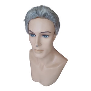 The Anchorman Natural Look Gray  Men's Short Wig