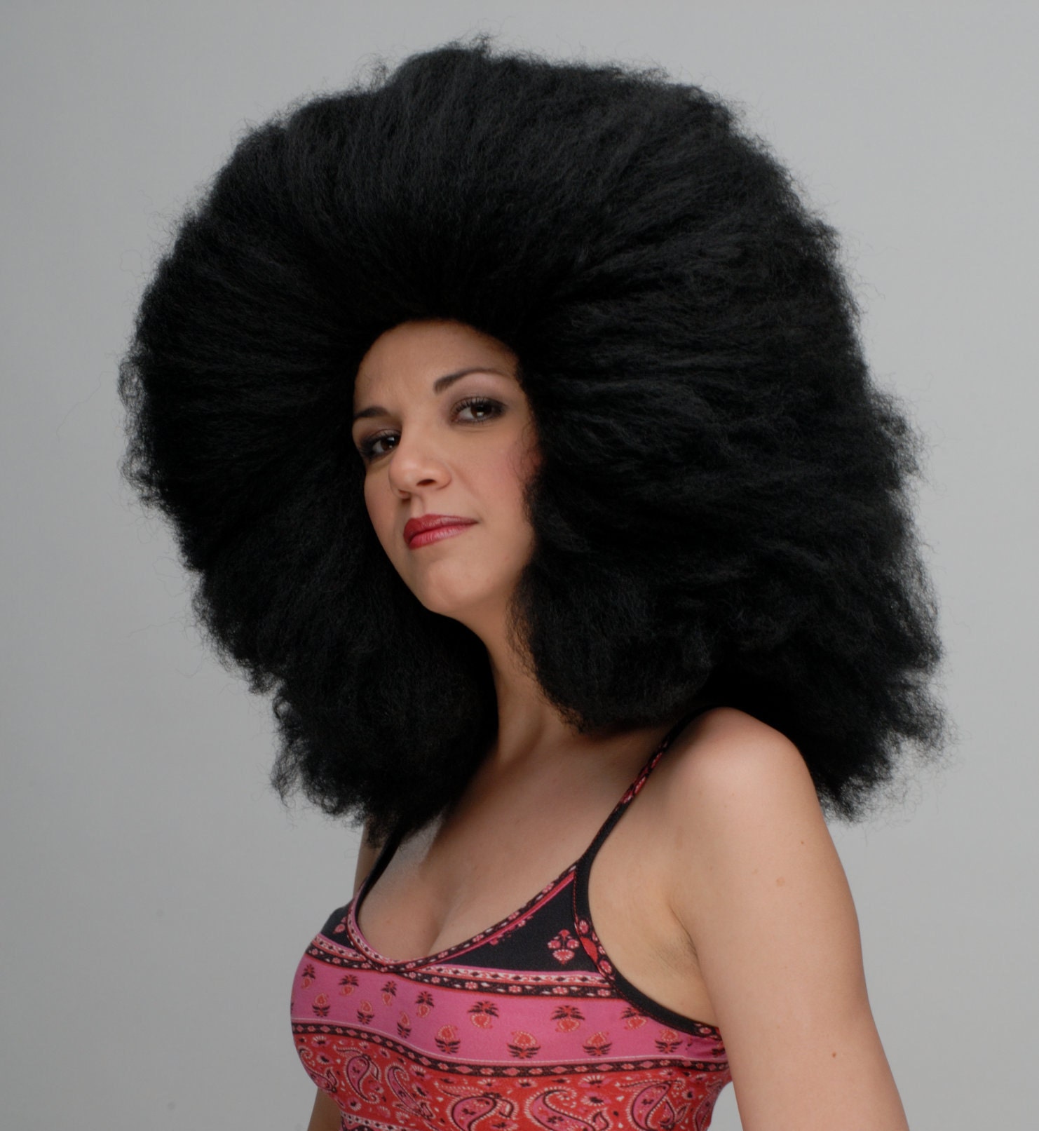 Large Afro Black Costume Wig Etsy