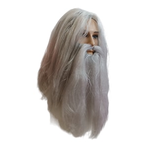 Gray Wizard&#39;s Cosplay Costume Long Wig and Beard