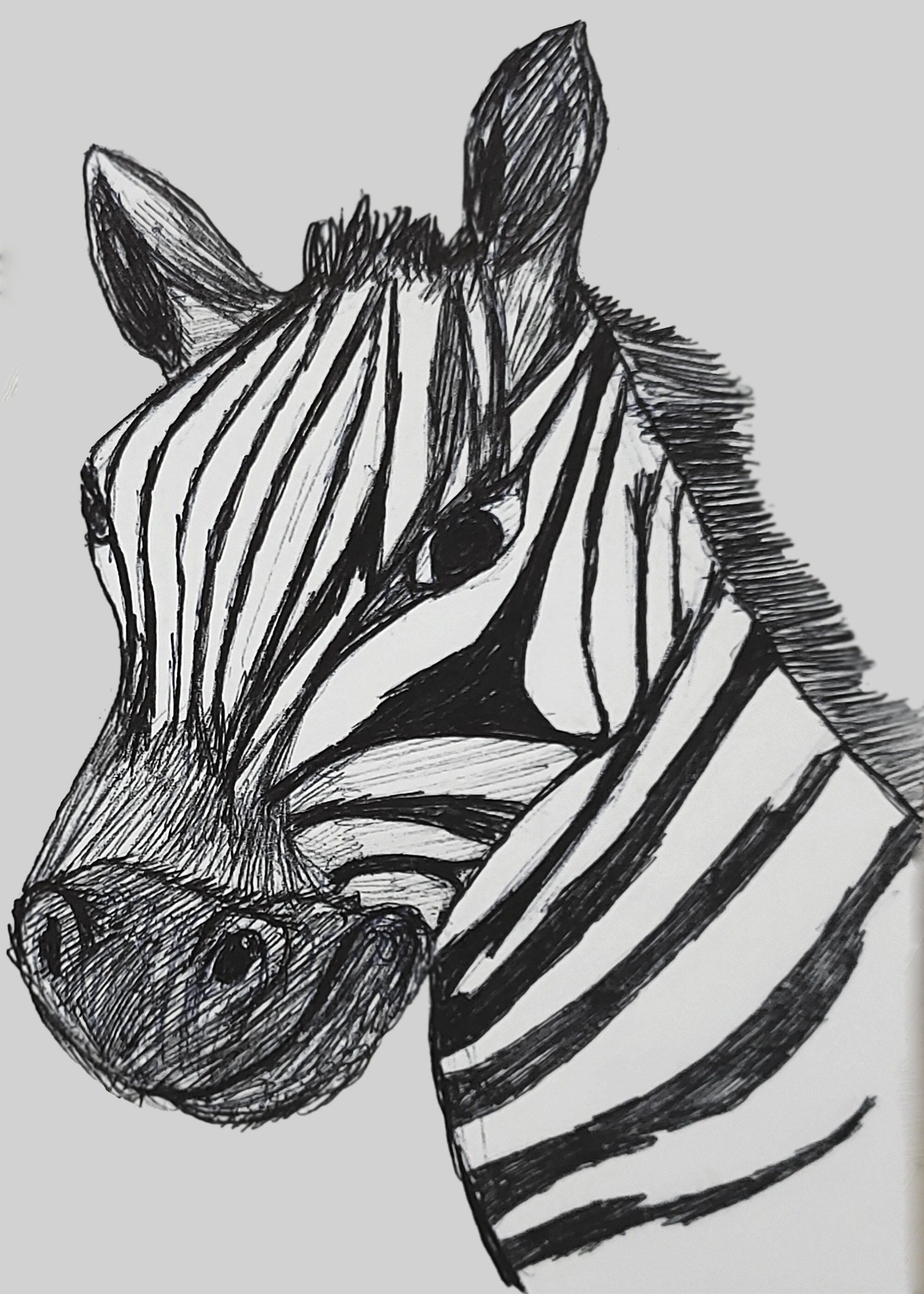 Tonal Animal Portraits Art Etsy Tonal Animal Portraits Art Etsy