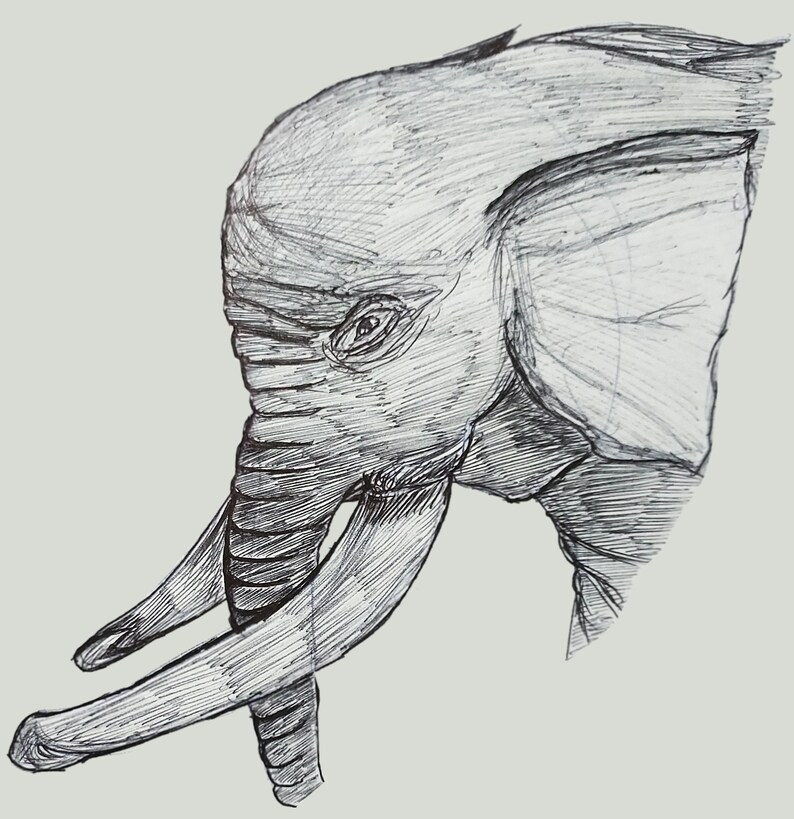 Tonal Animal Portraits Art Etsy Tonal Animal Portraits Art Etsy
