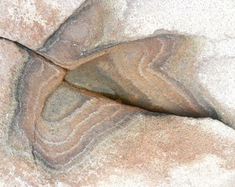 Photograph - Stone Butterfly - a rock formation with shimmering salt on Baker Island in Acadia National Park, Maine 11&quot; x 14&quot;