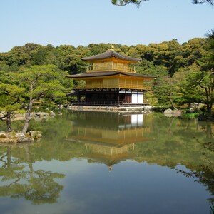 Notecards of my photograph of the Golden Pavilion (Kinkaku-ji) reflected in Mirror Pond in Kyoto, Japan set of 4