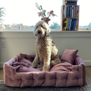 Hypoallergenic dog beds uk cheap
