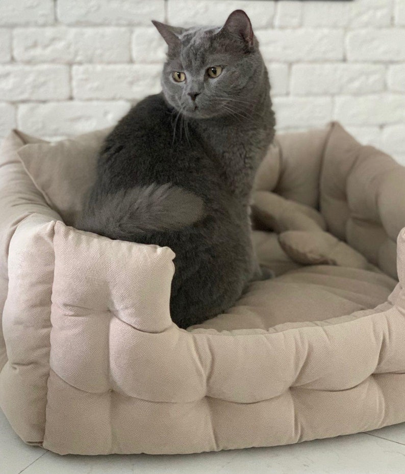 Dog Bed Casper Dog Bed Raised Dog Bed Elevated Dog Bed Etsy Canada