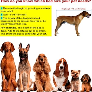 Instructions for determining the size of the bed for pets. You need to measure the pet from the end of the nose to the end of the body and then add 10 cm. This will be the desired length of the bed