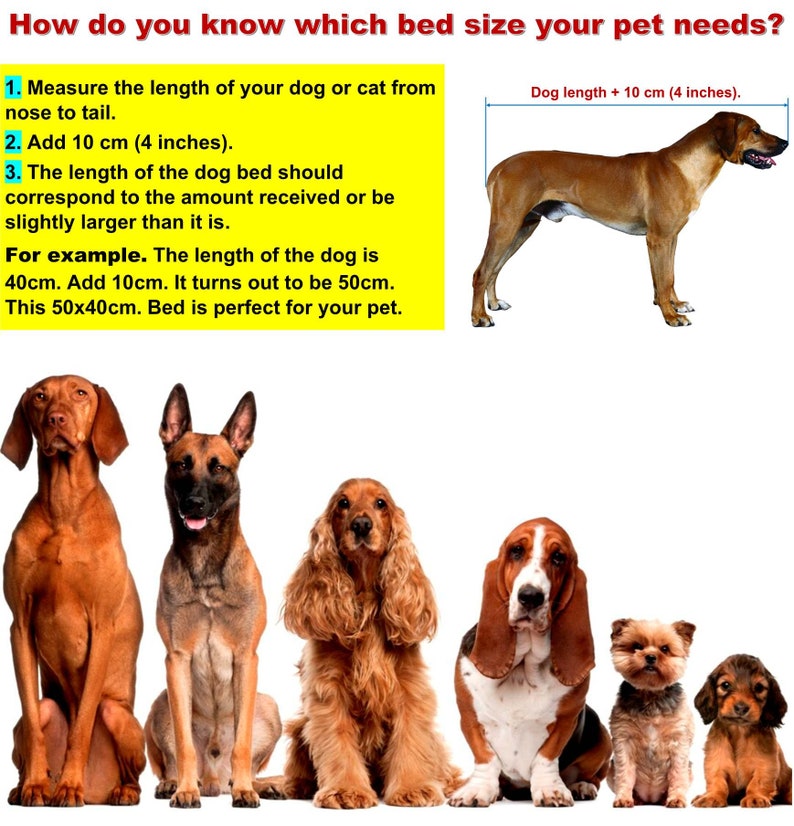 Instructions for determining the size of the bed for pets. You need to measure the pet from the end of the nose to the end of the body and then add 10 cm. This will be the desired length of the bed