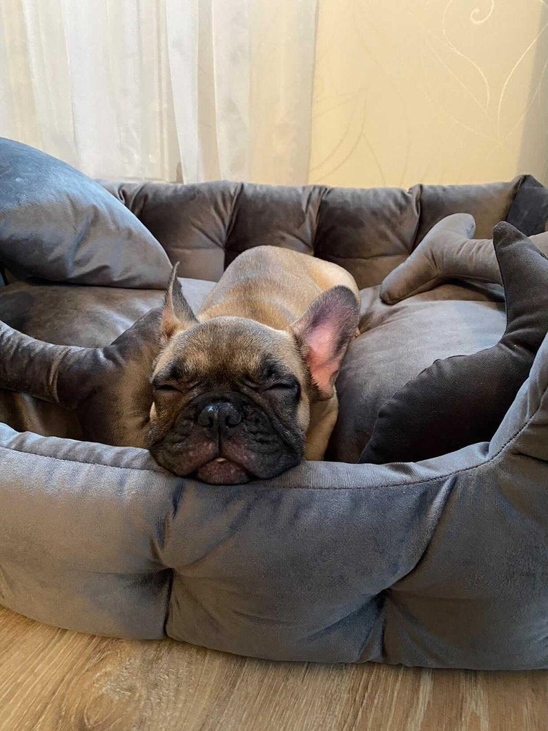 Dog bed Dog cot Dog couch bed Dog couches Boxer bed Etsy
