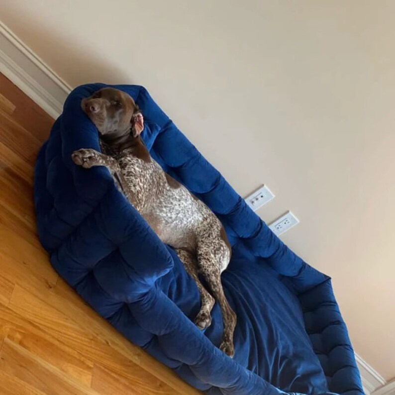 dog beds, xxl dog bed, cat bed