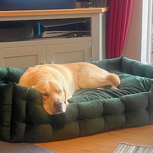May include: A sleeping golden Labrador lies in a dark green, tufted dog bed. The bed is rectangular with a plush, cushioned design. The dog is lying down, with its eyes closed, appearing relaxed and comfortable.