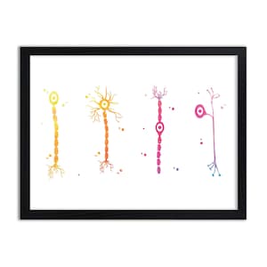 Cortical Cells - Watercolour - Print