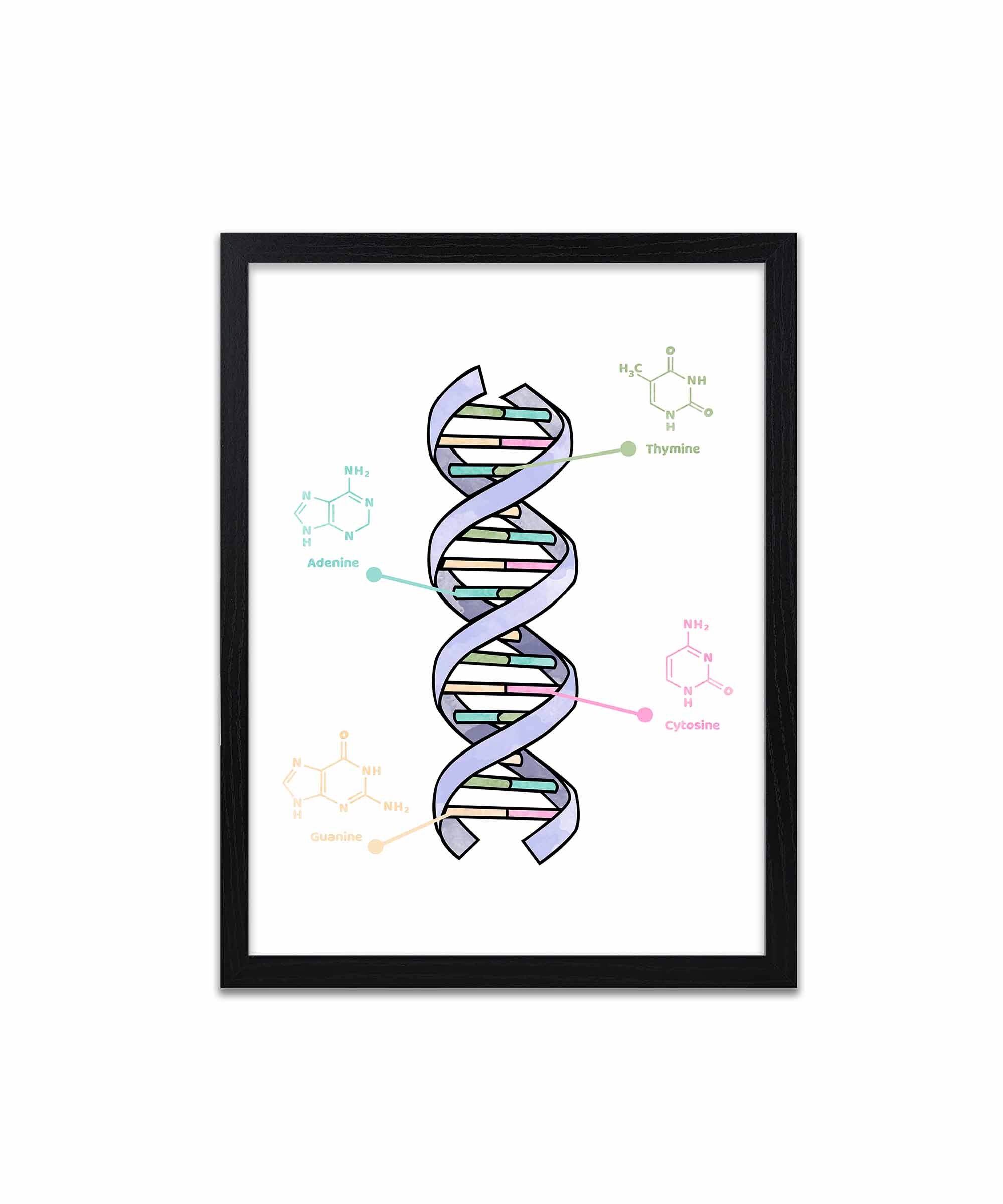 DNA - Diagram - Prints - Etsy