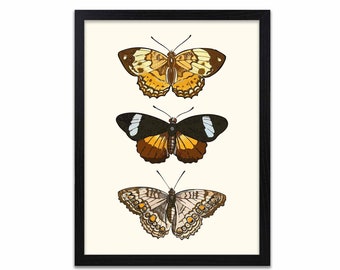 Butterflies - Print