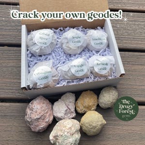 Break Your Own Geodes, Geode Gift Box, Granola Girl Gift, Geology Gifts, Sugar Geode, Amethyst Geode, Keokuk Geode, Candy Geode,Crystalline