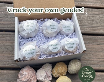 Break Your Own Geodes, Geode Gift Box, Granola Girl Gift, Geology Gifts, Sugar Geode, Amethyst Geode, Keokuk Geode, Candy Geode,Crystalline