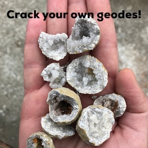 May include: A hand holding several small, cracked geode crystals. The crystals are white with a clear, sparkly interior. The text "Crack your own geodes!" is written in black letters at the top of the image.