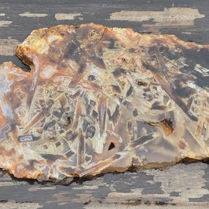Turkish Stick Agate Slab • Ankara Slice • Unique Rough Cut • Rare Pattern Stone