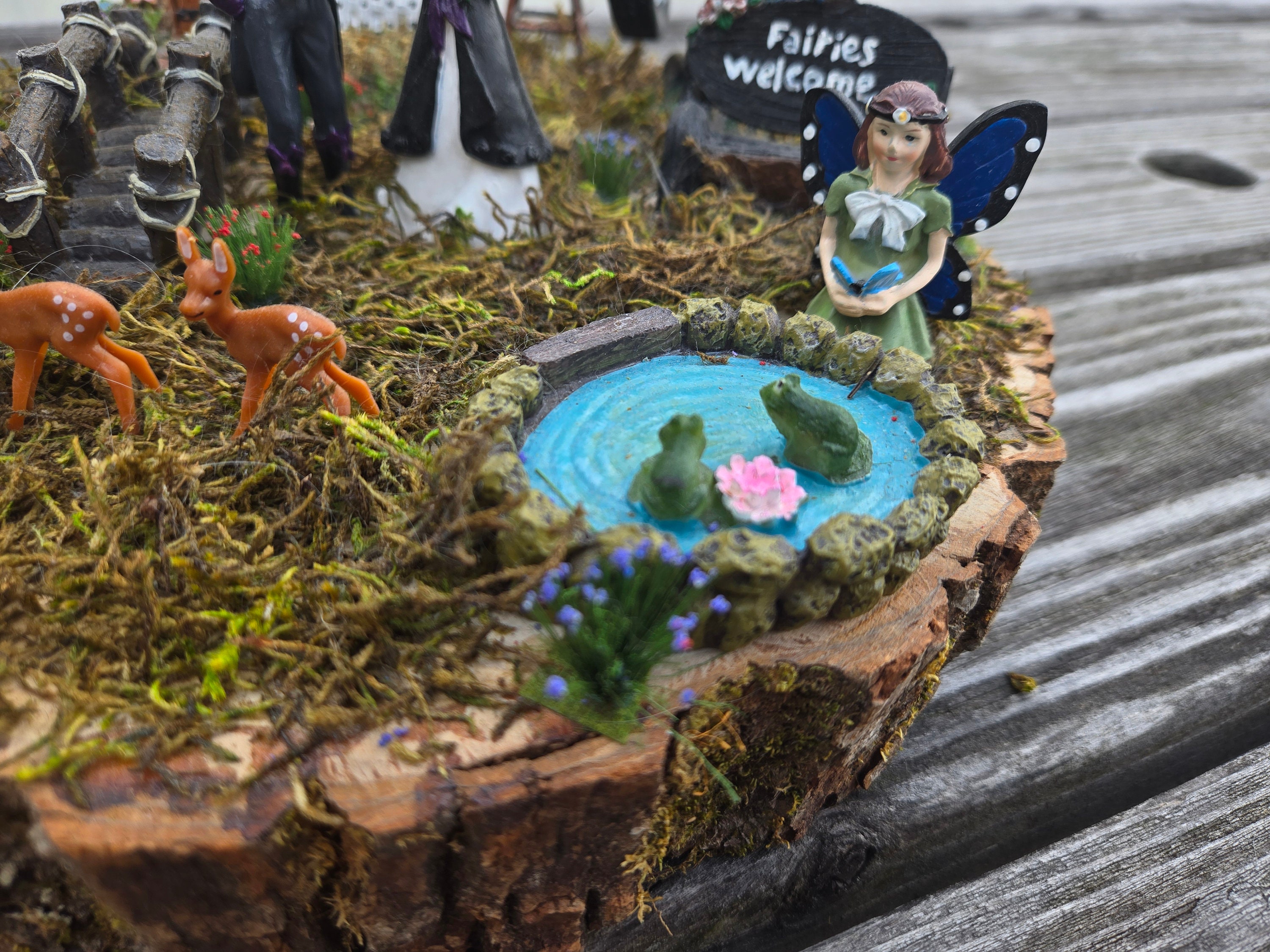 Hand Painted Gothic Fairy Garden - Etsy