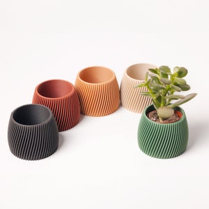 Peut inclure: Cinq petits pots décoratifs de différentes couleurs et motifs. Les pots sont faits d'un matériau texturé et ont une forme arrondie. Un pot a une petite plante succulente qui pousse dedans.