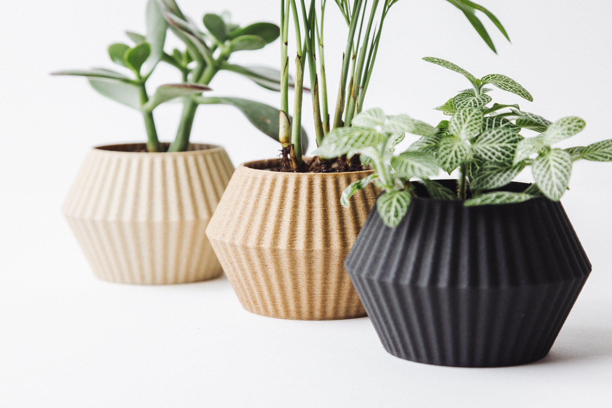 Cache Pot Pour Cactus et Succulent - Impression 3D Écoresponsable en Maïs Bois Cadeau Idéal Décorati