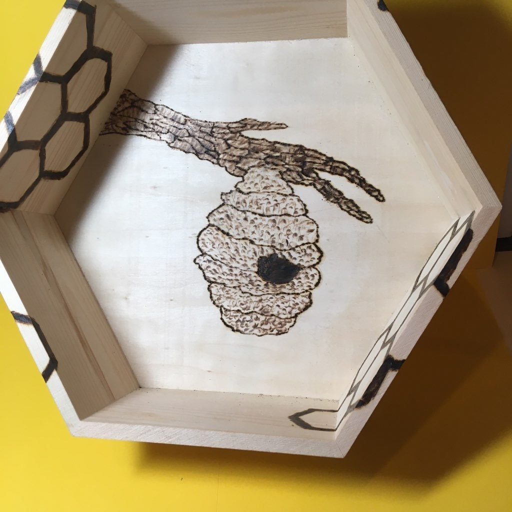 Bee Hive Honey Comb Shelf Etsy
