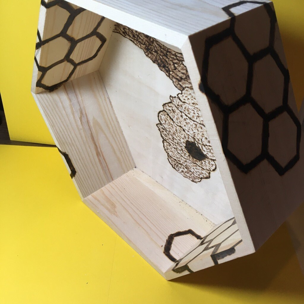 Bee Hive Honey Comb Shelf Etsy