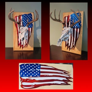 Tattered Flag European Deer Mount Plaque, Tattered Flag, Deer Mount, Deer Plaque,