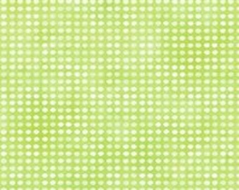 Dit Dot Color "Mint", Collection by Jason Yenter for In the Beginning Fabrics 8AH23